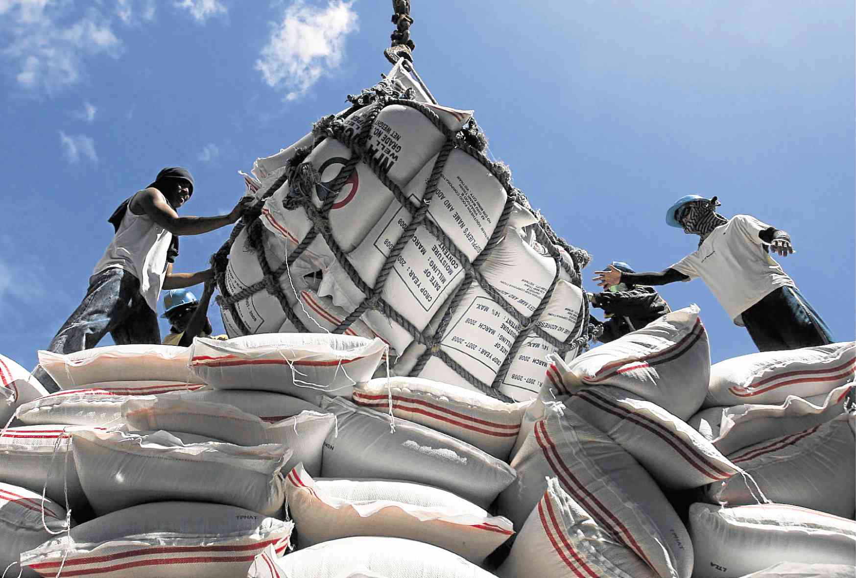 FFF slams DA delay on rice import safeguard duties
