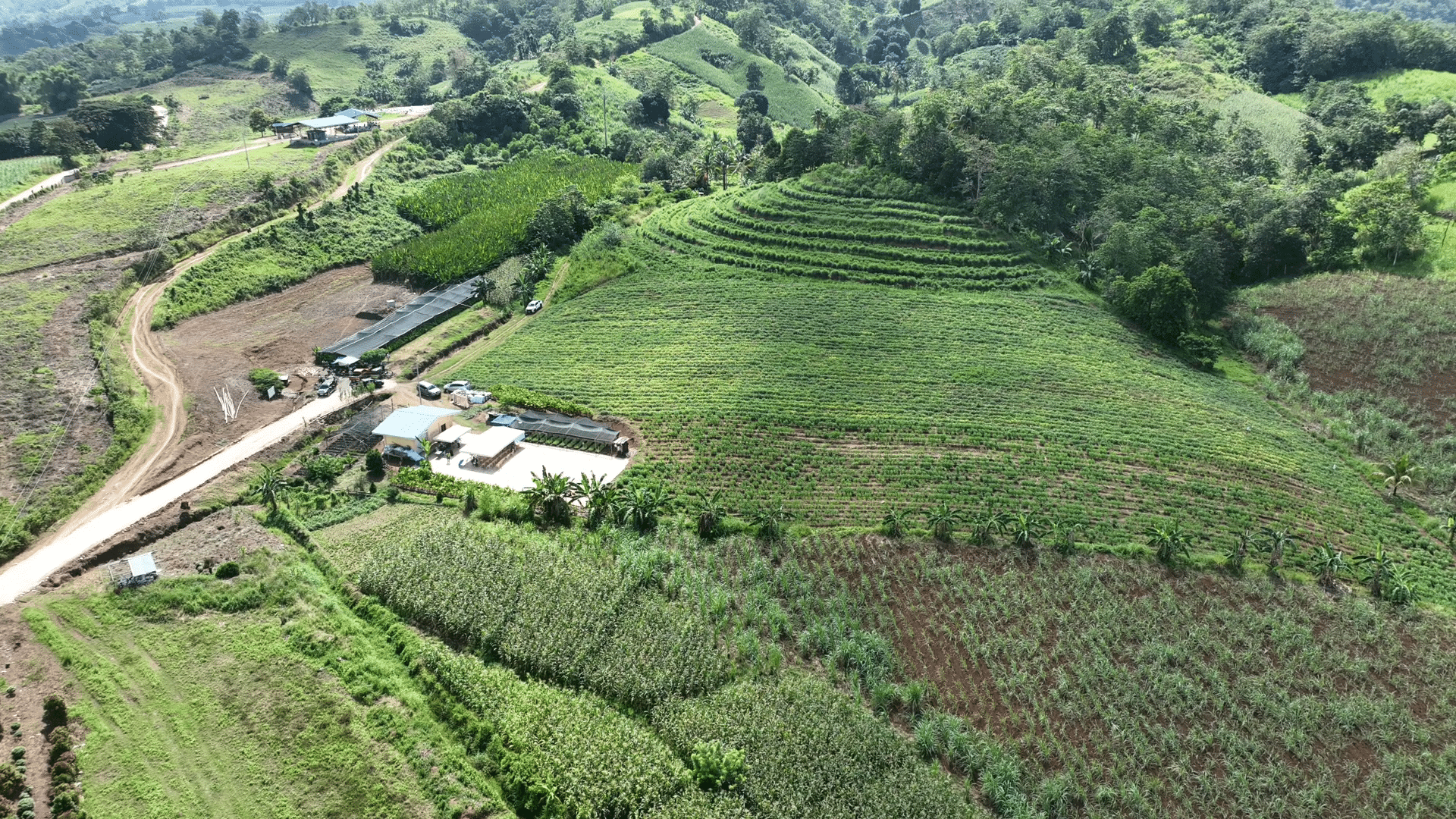 Bukidnon town bets on farm diversity