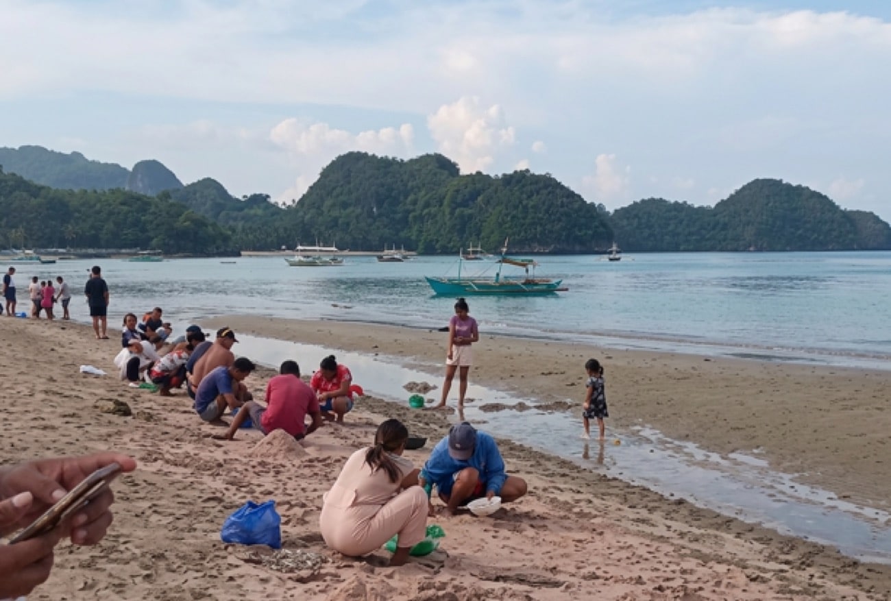 Sipalay beach turns pink as small shrimps blanket shoreline
