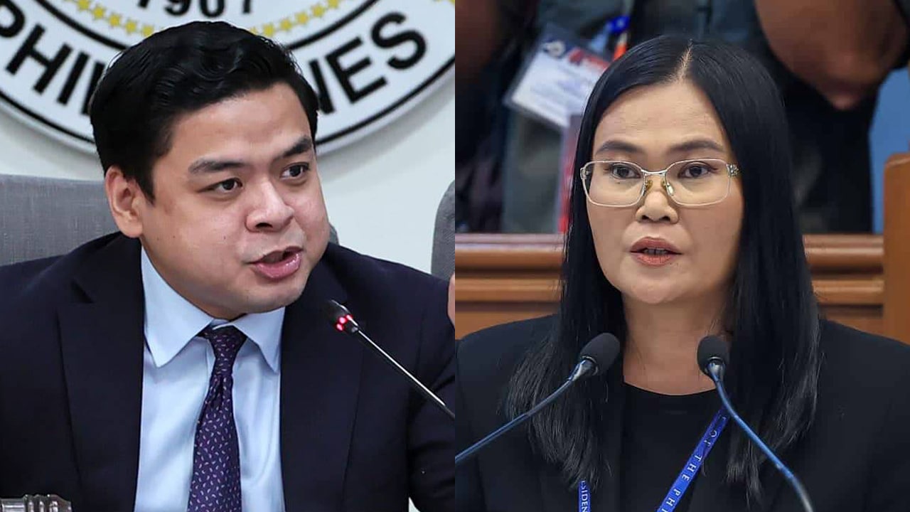 Ridon to Sison: Don’t gaslight PH, lawyer said misleading queries OK