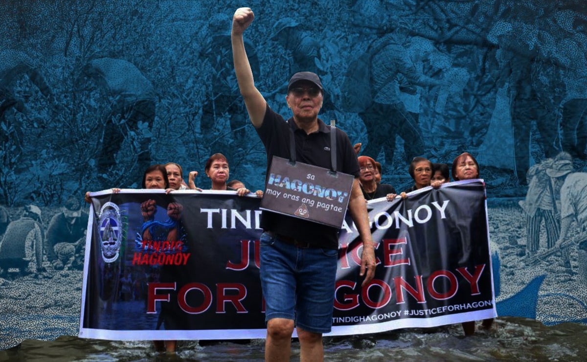 Flooding fuels call for mangrove shields in Bulacan