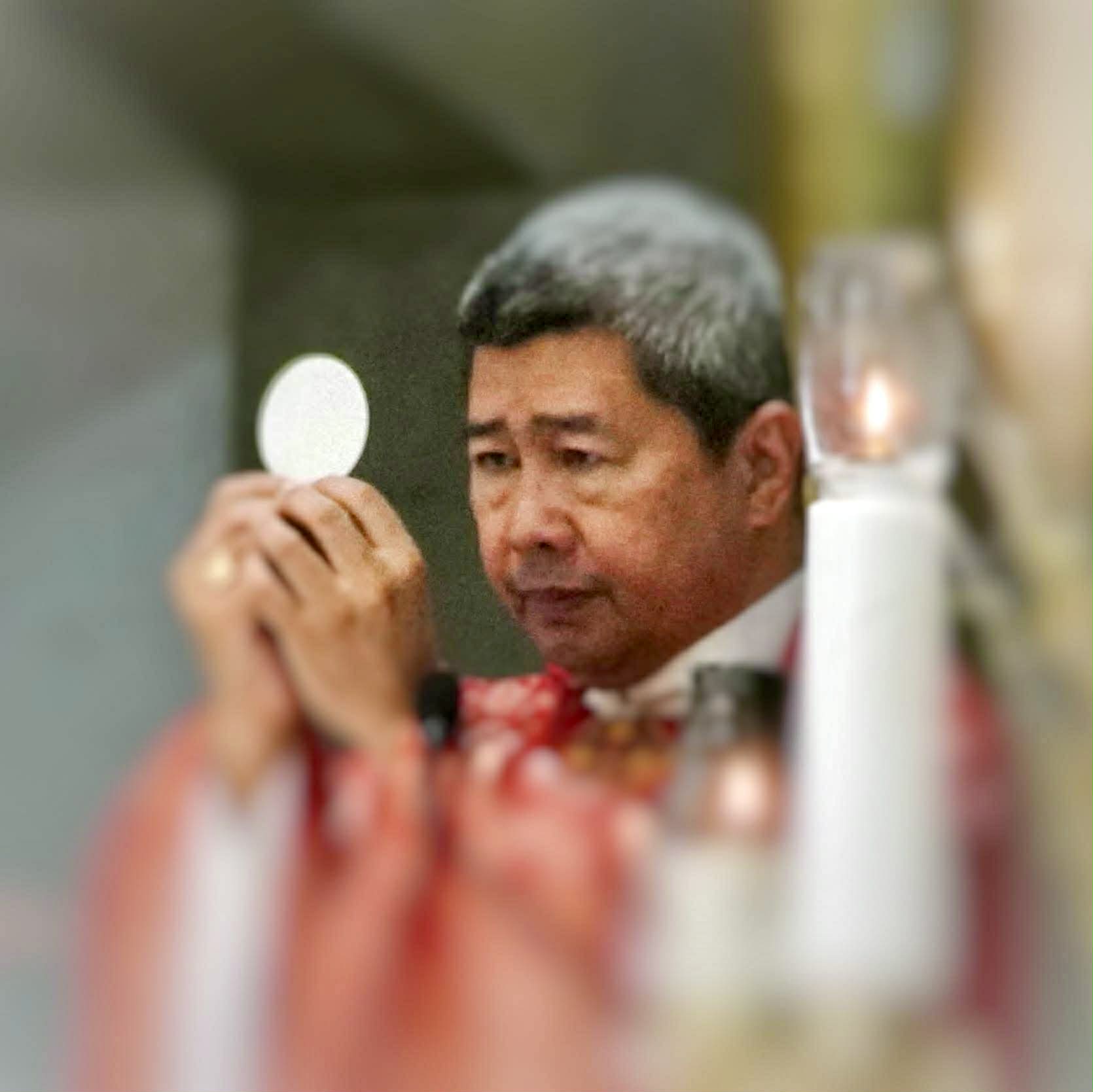 Legazpi bishop urges faithful to back White Ribbon Movement