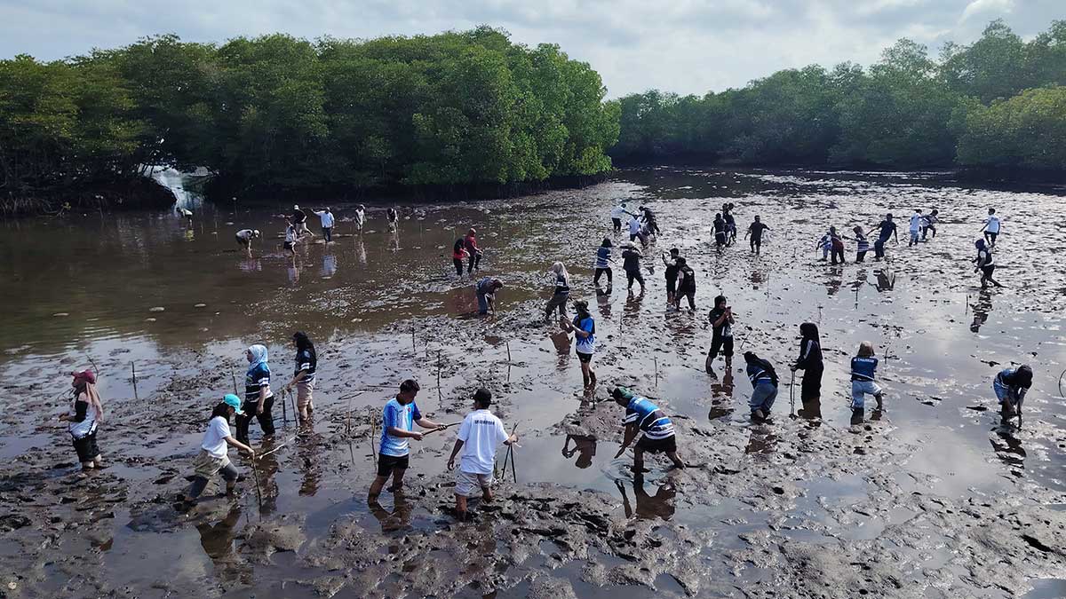 Sulu youth leaders plant mangroves to cushion storm surges