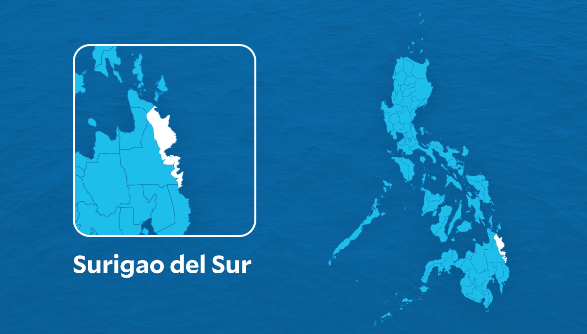 Surigao Sur restricts travel, consolidates trips to cut fuel use
