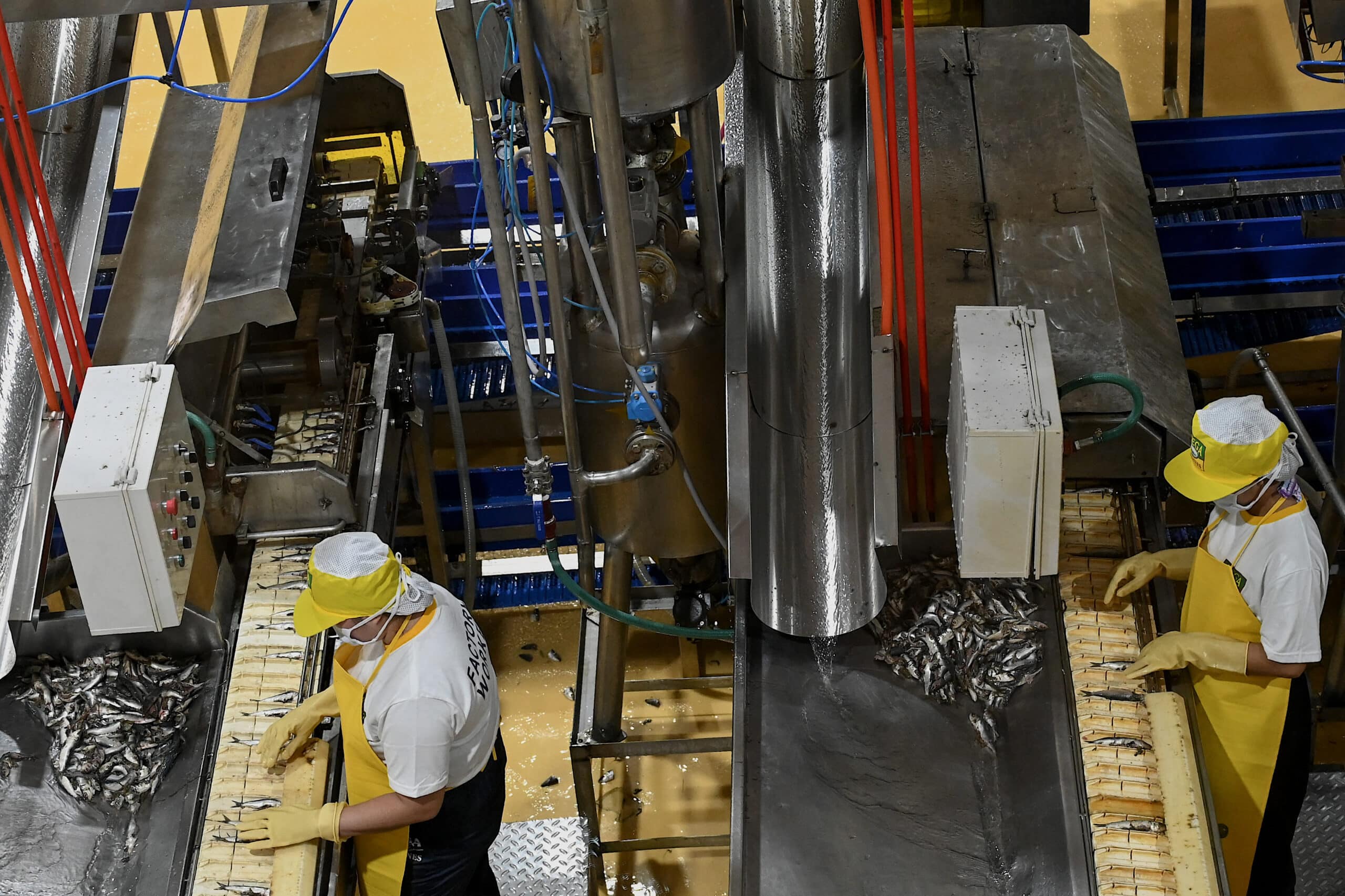 Philippine factory output falls to 3-month low amid Middle East war