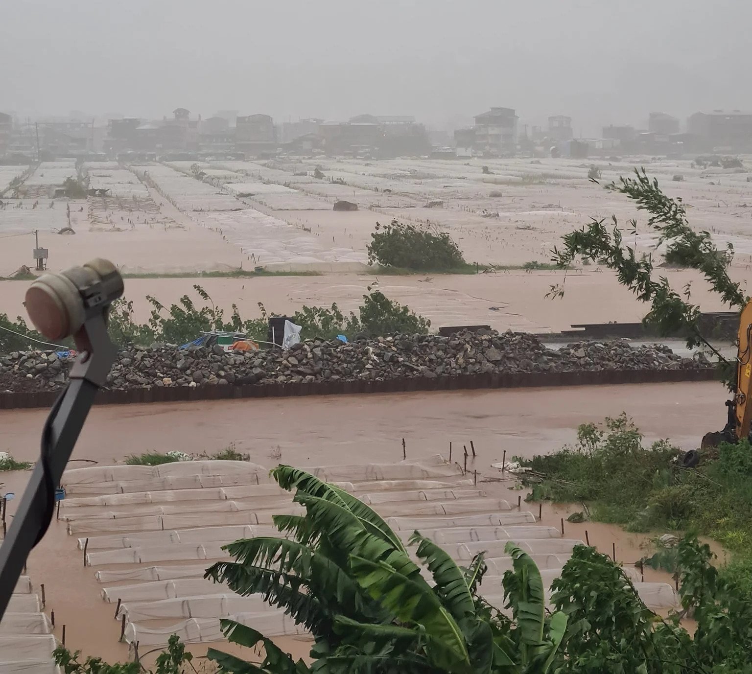 Agri losses from monsoon, cyclones reach P2.32B—DA