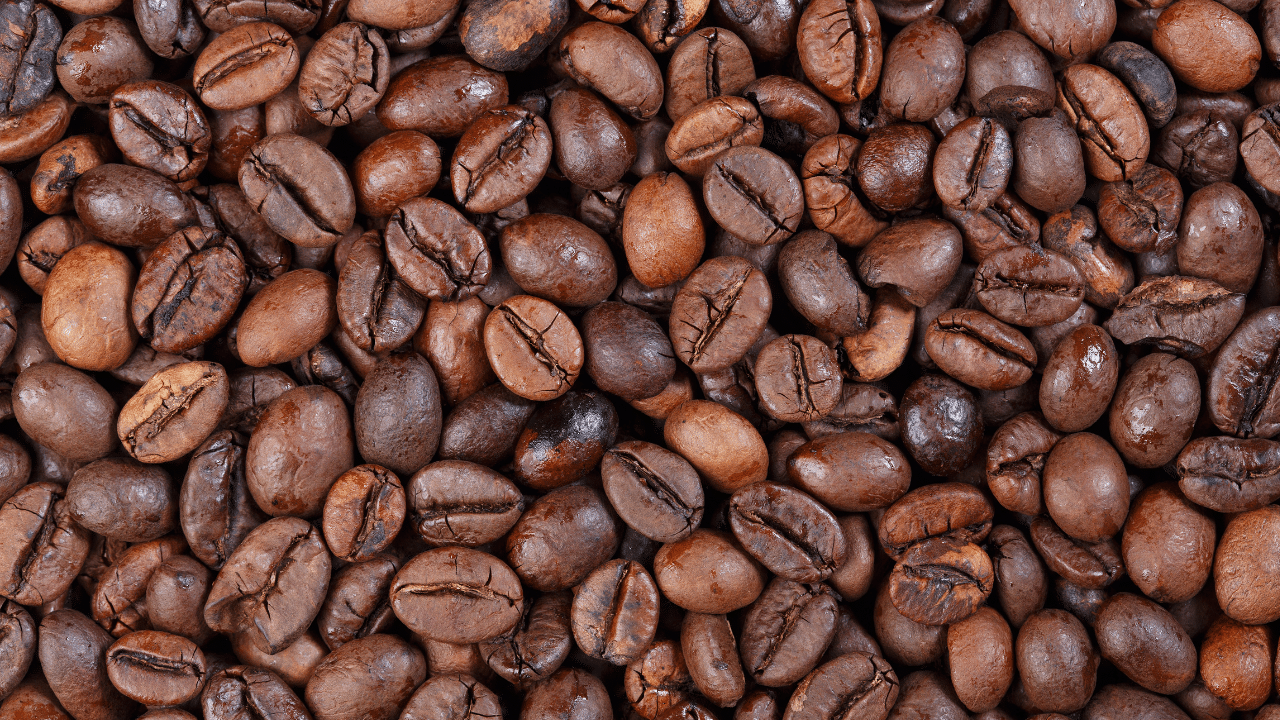 World Bank funds P97.9M push to boost Bukidnon coffee