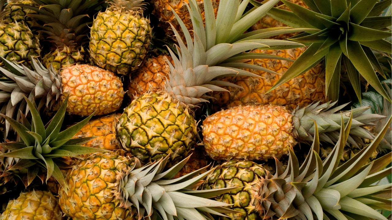 Philippine output boosts global pineapple trade