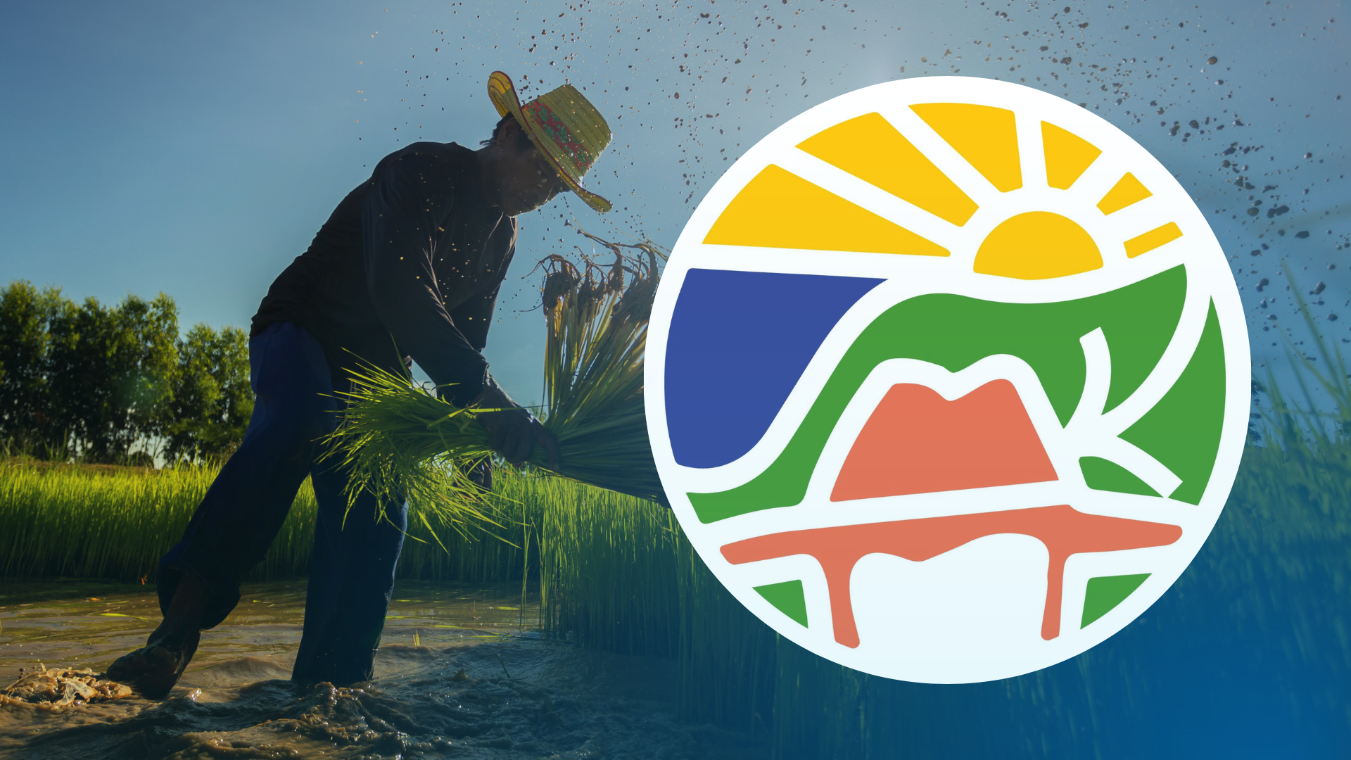 Agri company files cyberlibel, oral defamation vs two farmers’ groups