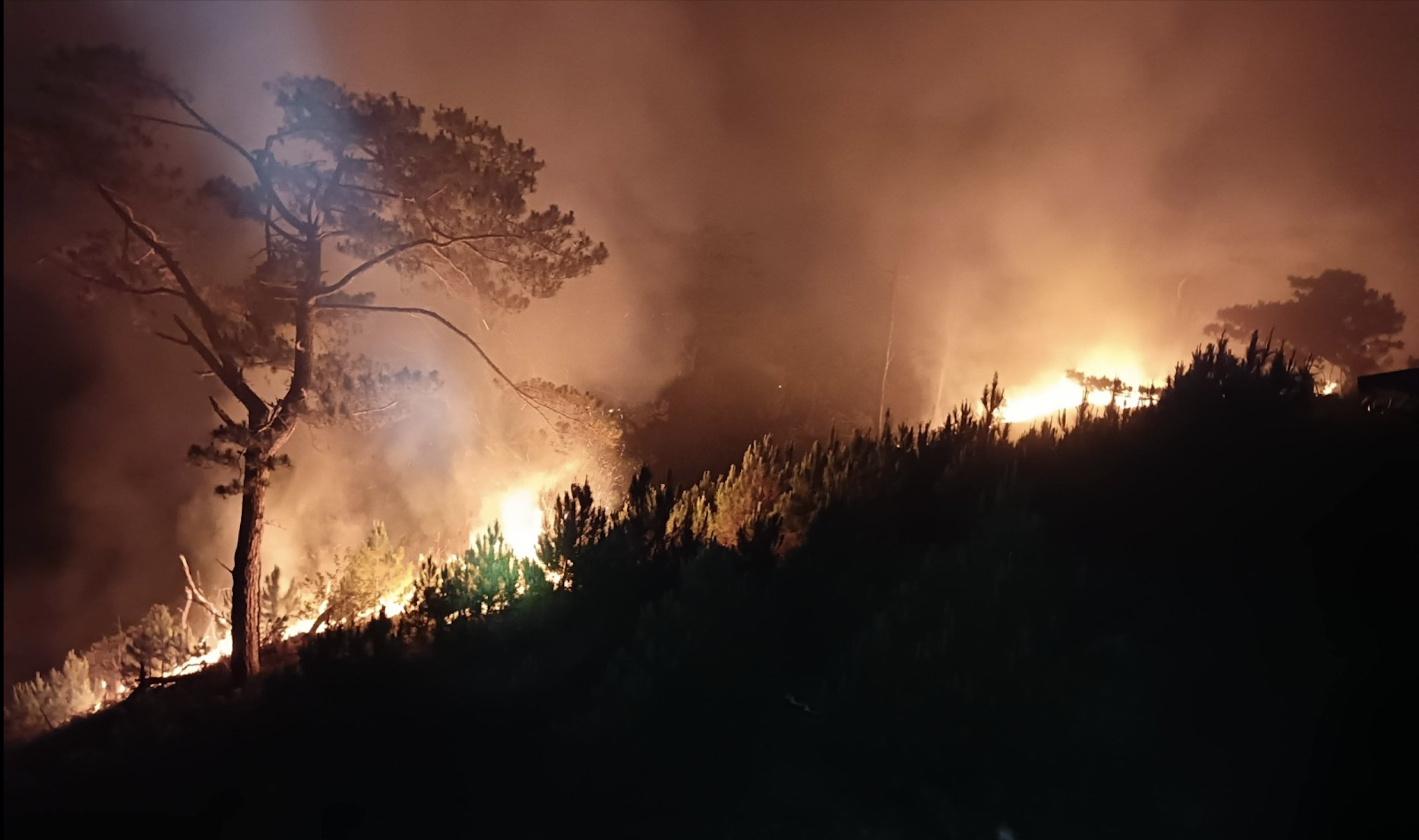 Trekking at Mt. Kabunian in Benguet suspended after grass fire