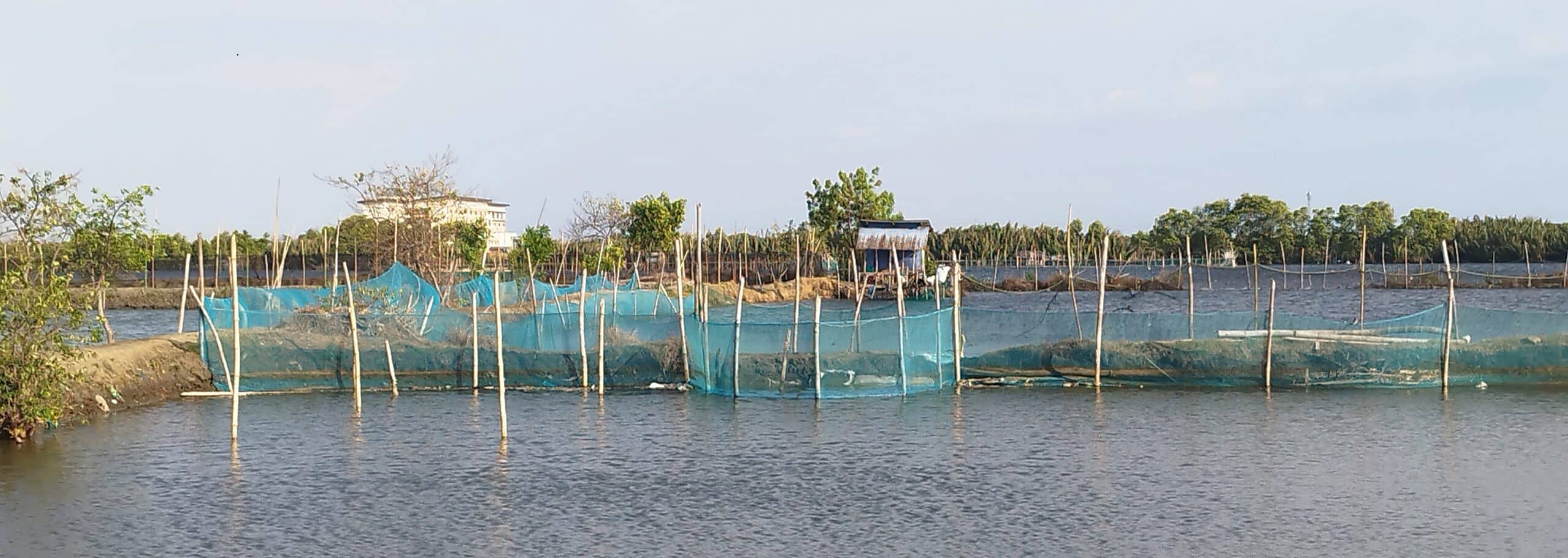 Pangasinan town to clear rivers of fish pens