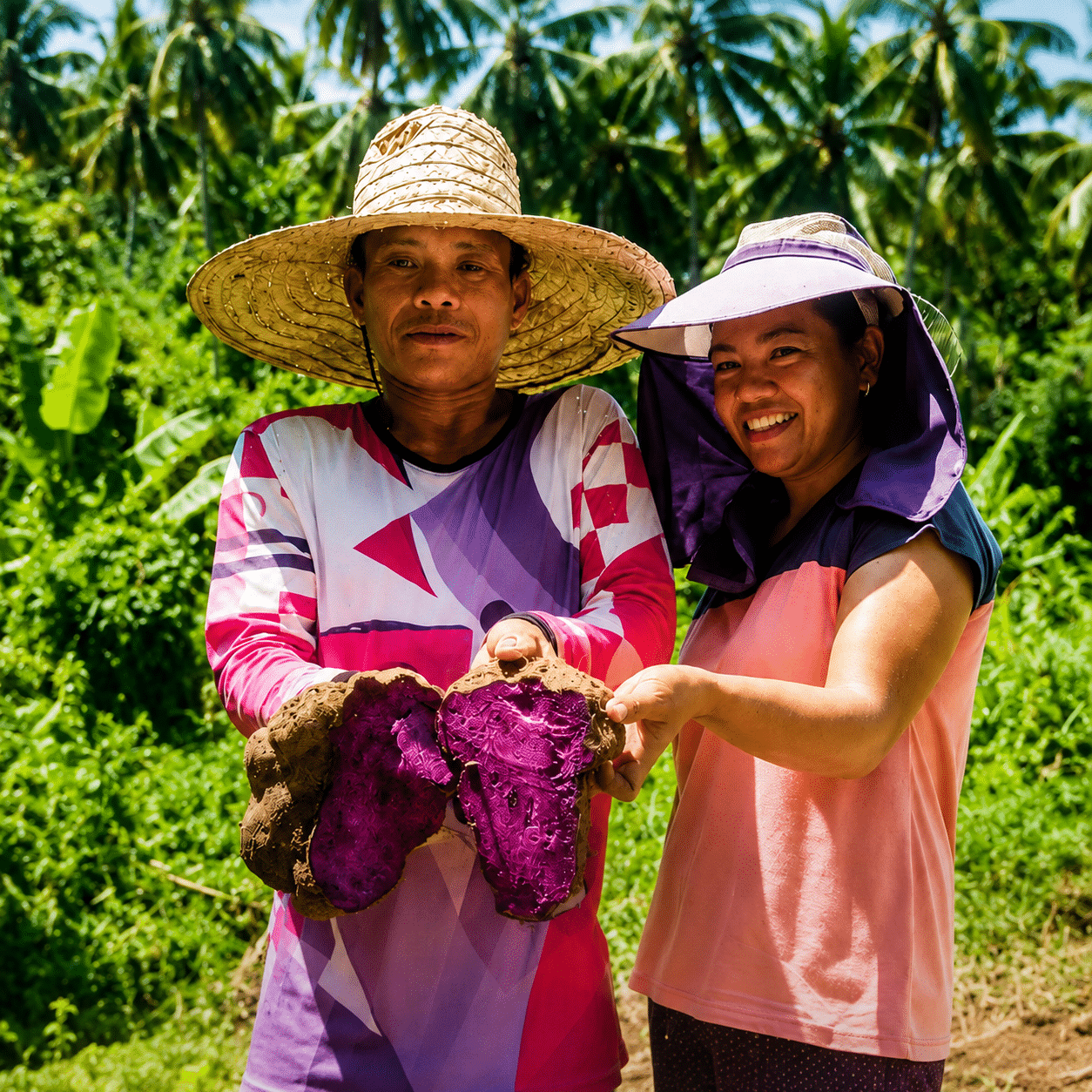 Ormoc launches ube demonstration farm