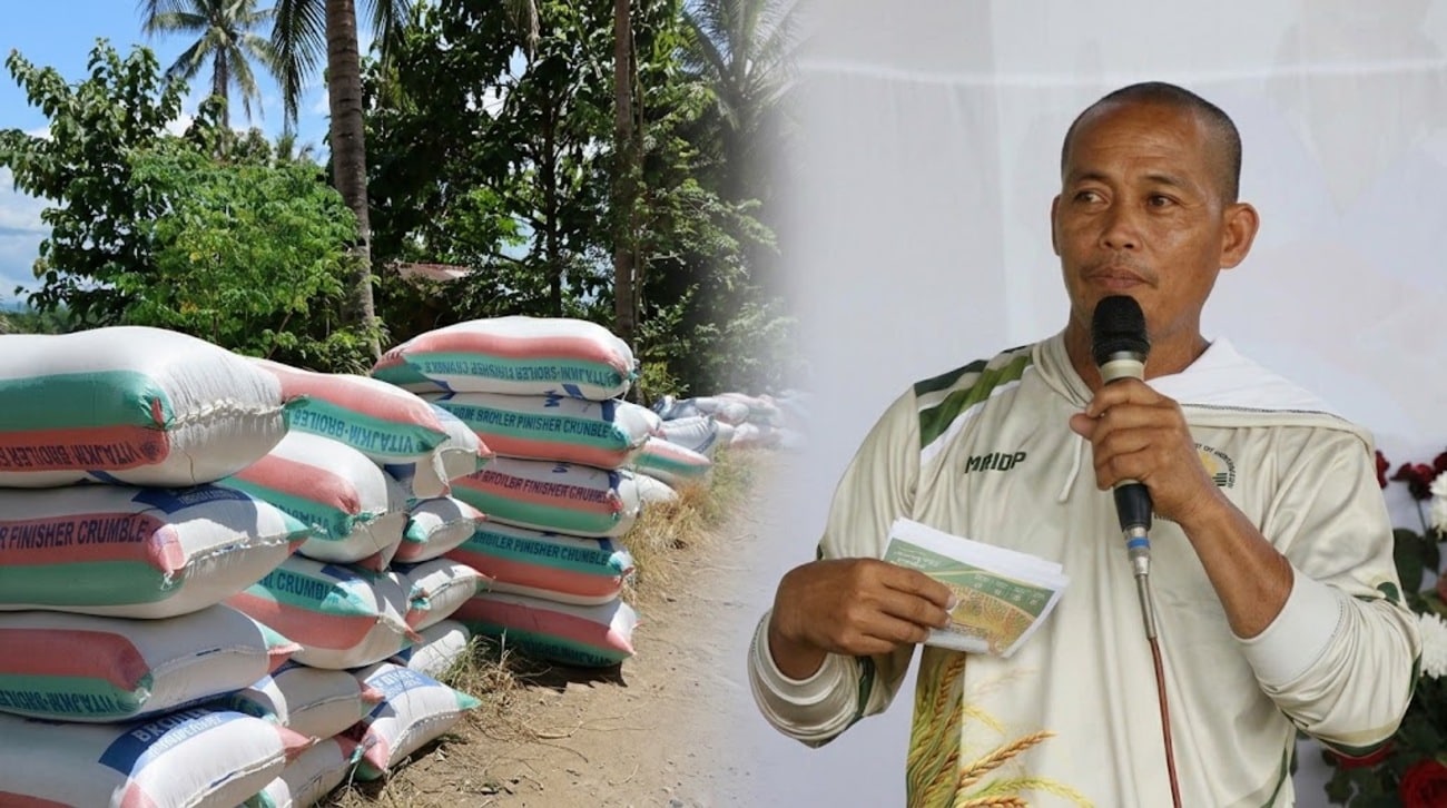 Agusan farmer projects P1.26M income from 6-hectare hybrid rice farm