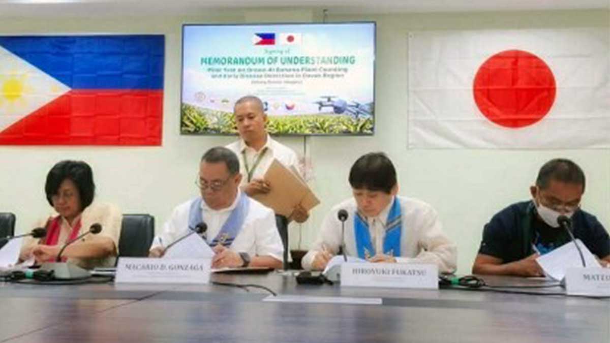 AI drone project to detect banana disease in Davao Region farms