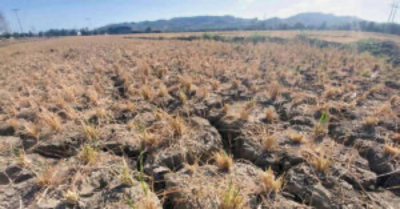Mimaropa, Kalayaan Islands seen facing dry conditions by November