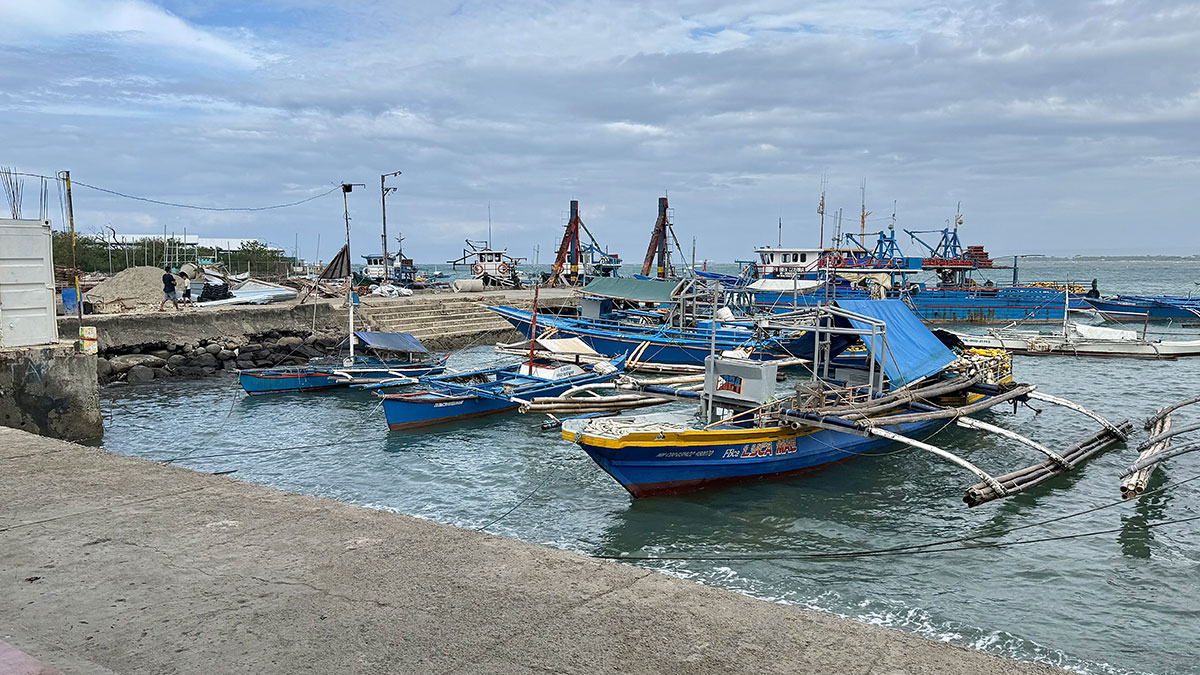 Marina to roll out sea-based SCP, giving fare subsidies across 11 routes