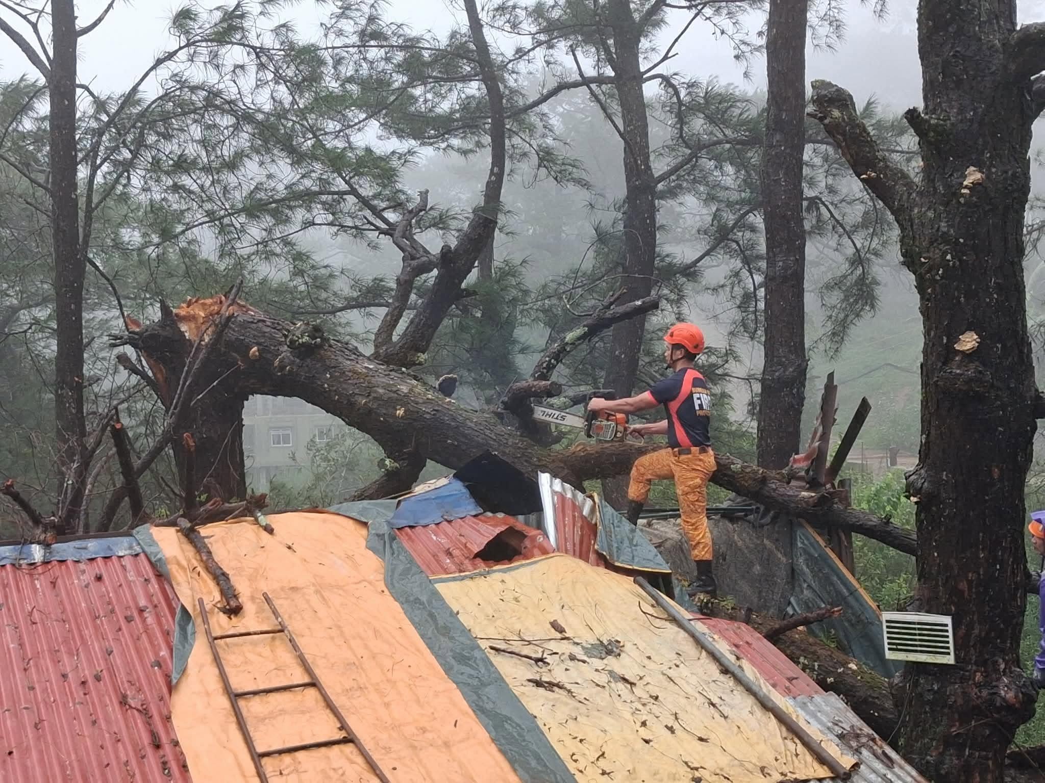 Pine tree, bamboo damage homes in Baguio; firefighters lead clearing ops