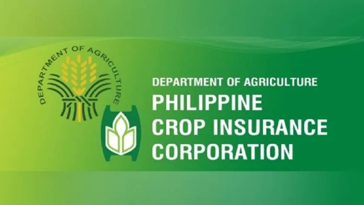 PCIC allots P36m in payouts for farmers affected by flooding