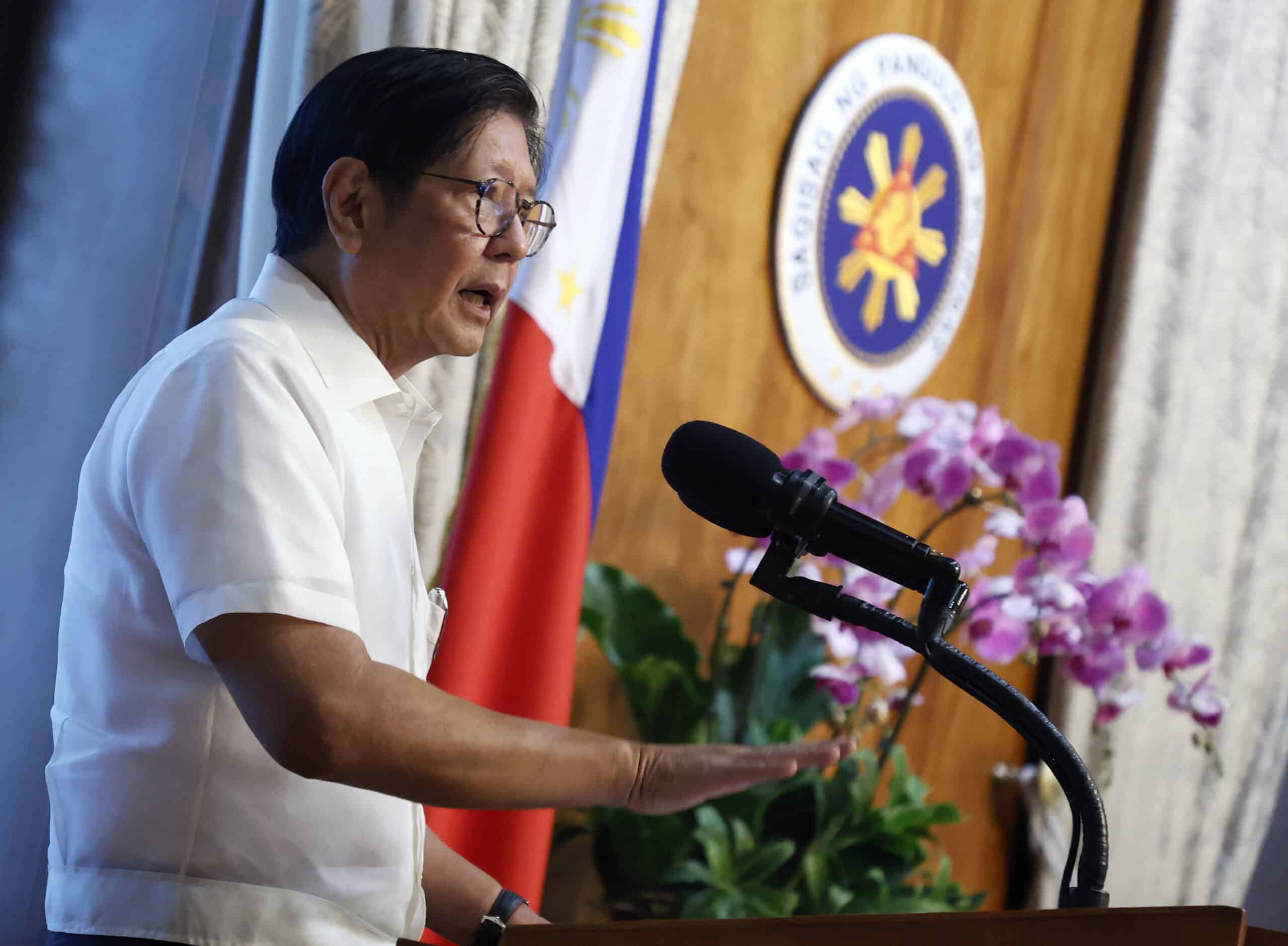 Marcos launches new Tupad programs to boost Filipino employment