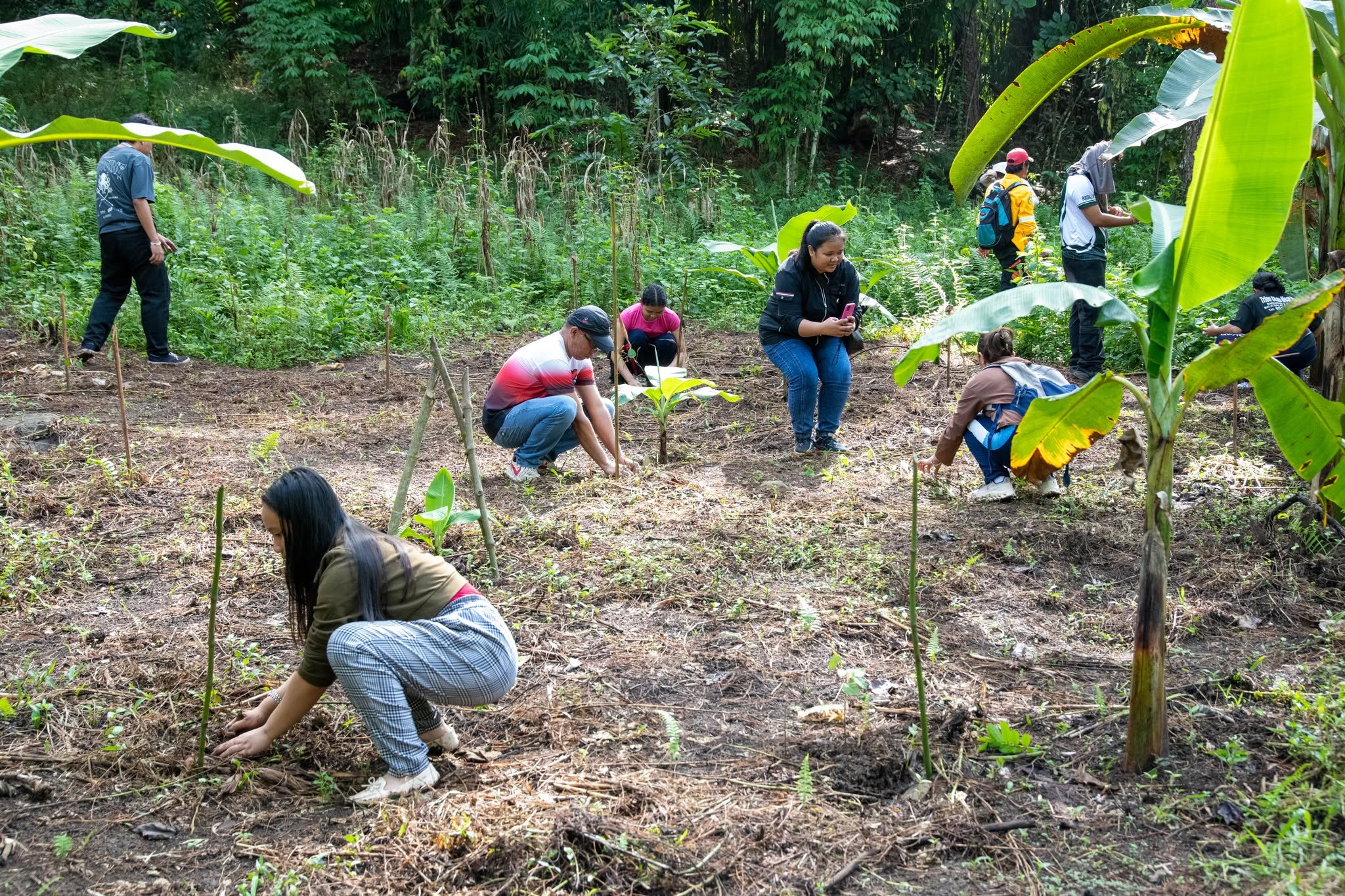 800 trees planted in Bukidnon to remember eco-martyr priest 