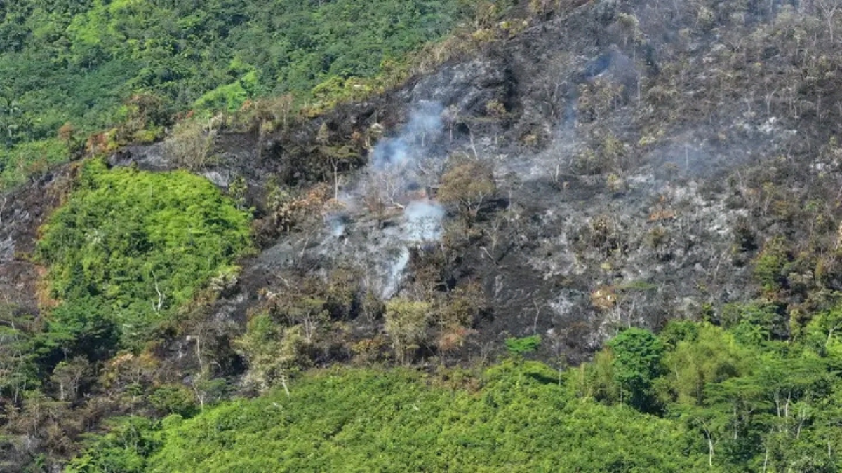 Forest fire hits Mt. Halcon in Mindoro