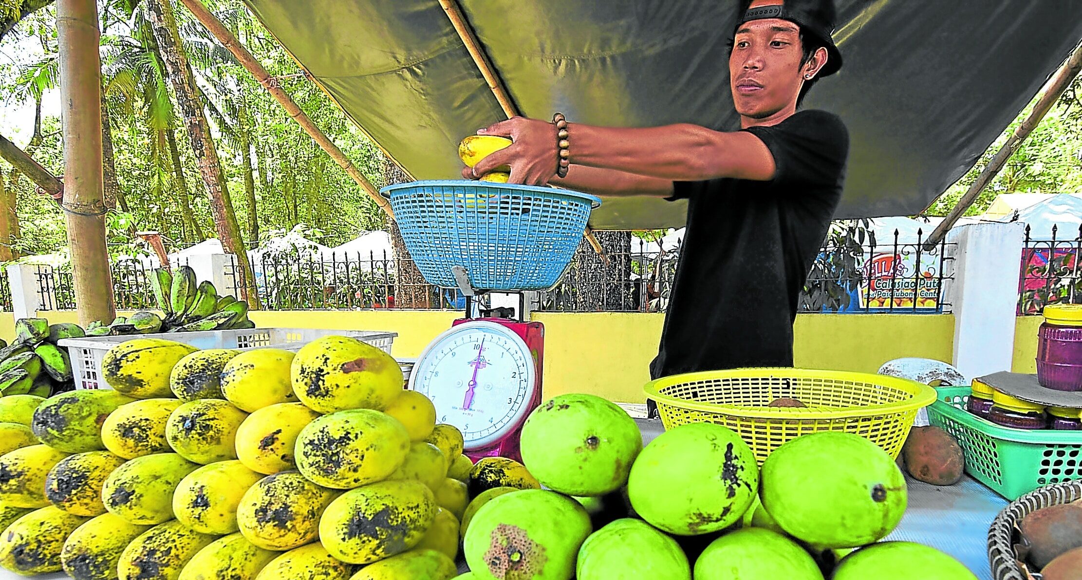 Philippines aims to export mangoes, pineapples to America