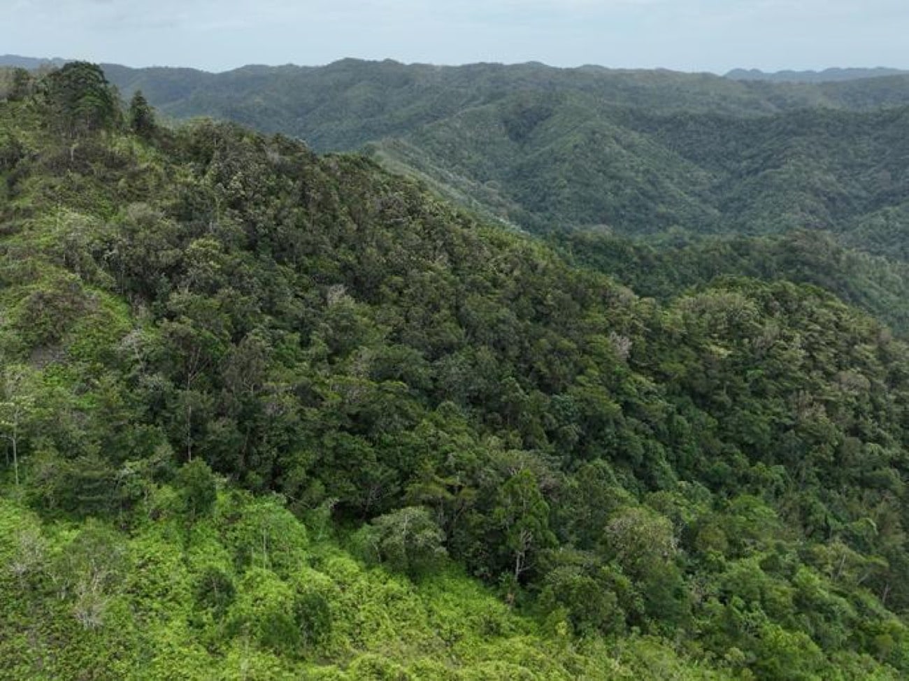 Boracay Water gets DENR nod for Nabaoy watershed rehab
