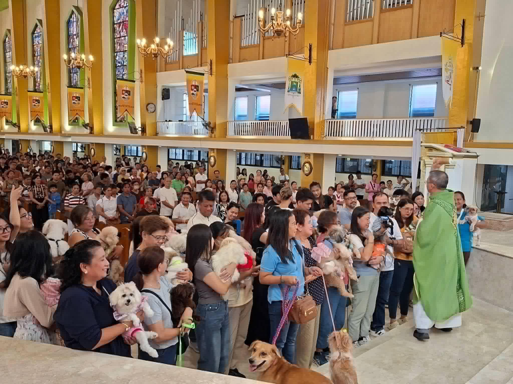 Pet owners, animals gather at Calapan cathedral for St. Francis feast