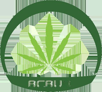 bcbud kw Profile Picture