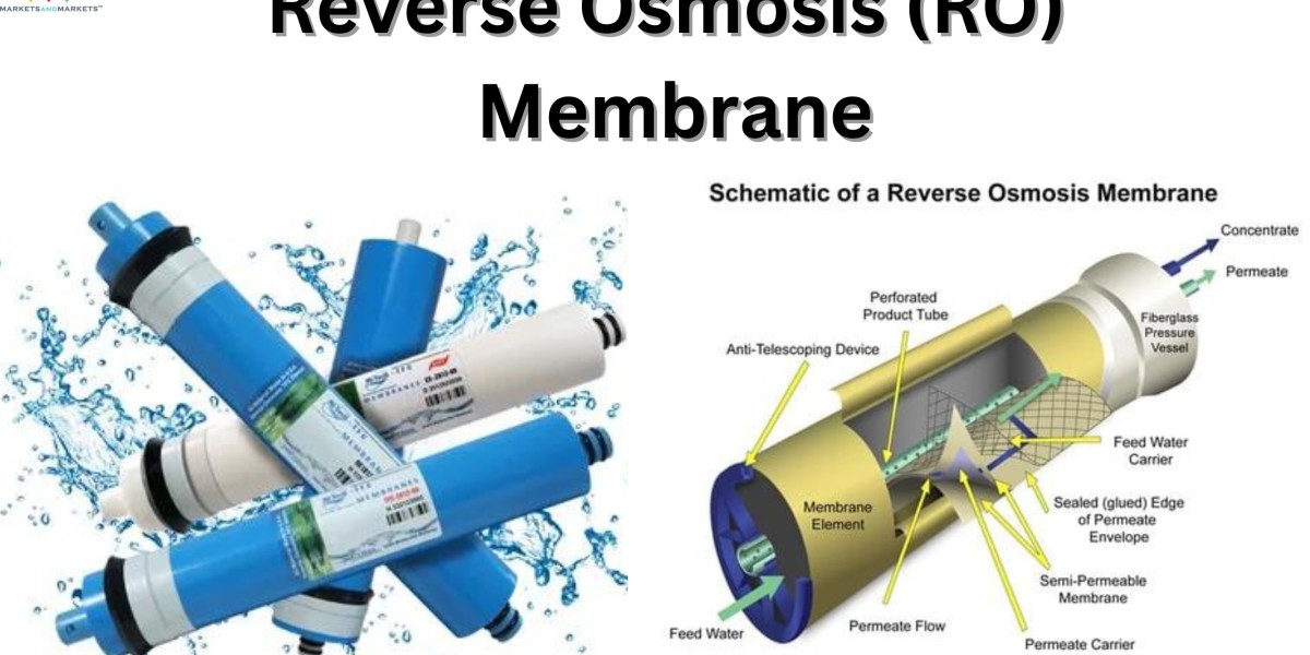 Future Outlook for Reverse Osmosis Membranes: Innovations and Market Projections