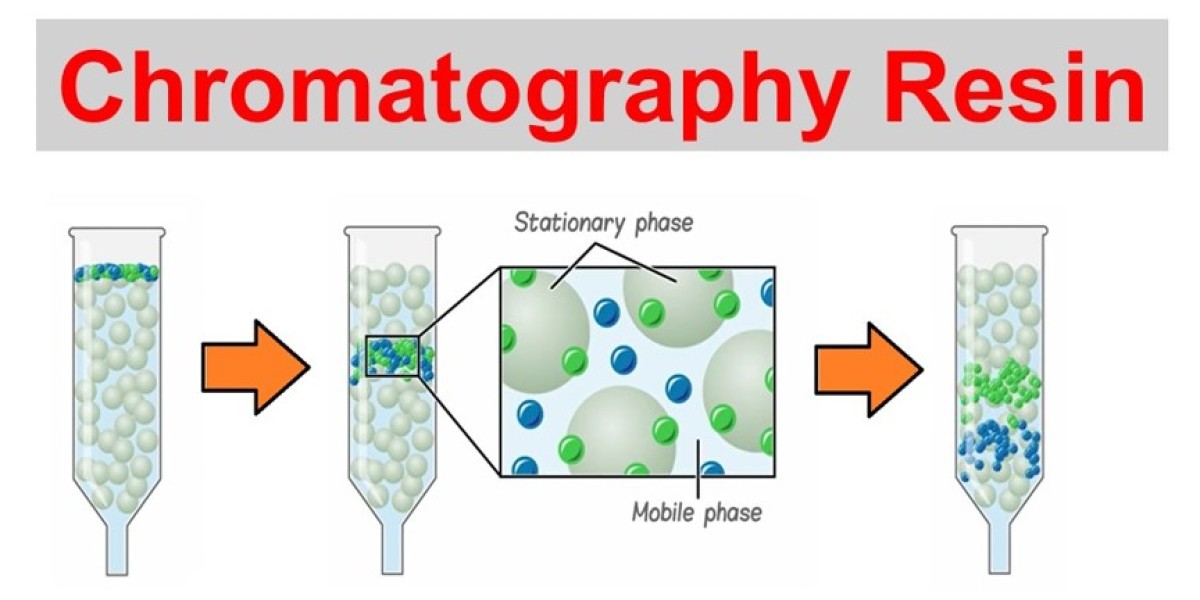 What’s Driving the Demand for Agarose-based Chromatography Resins?