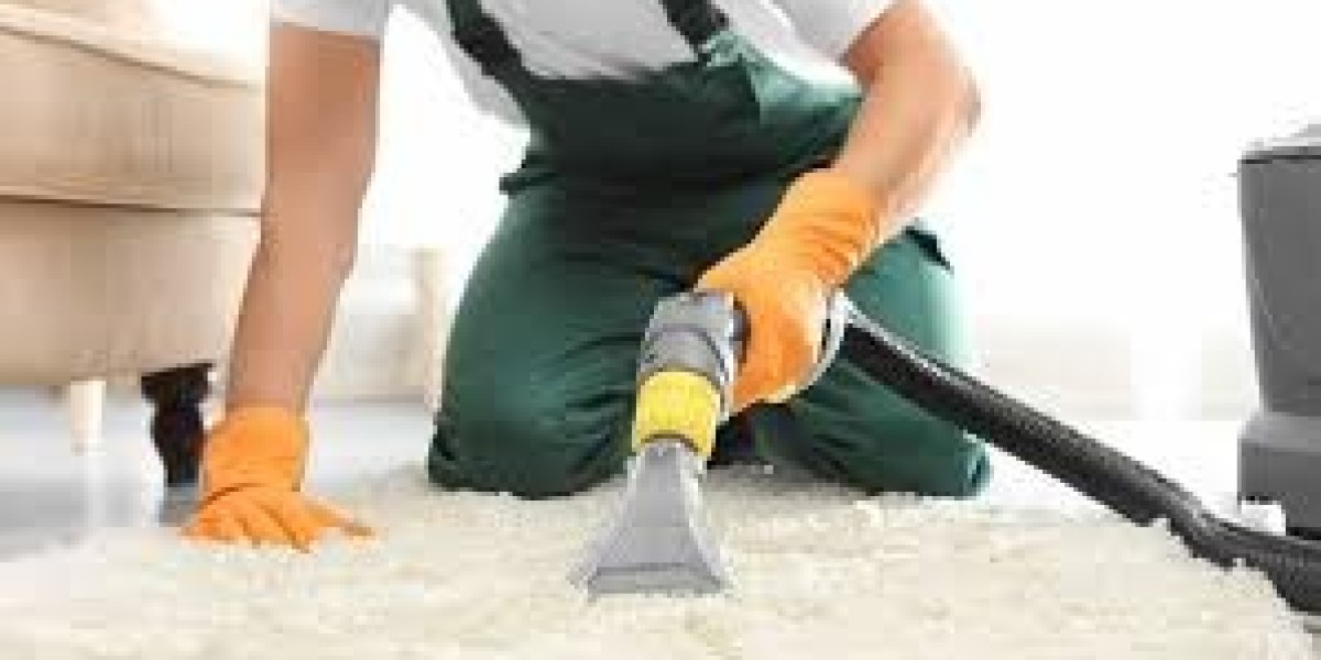 Enhancing Home Comfort with Consistent Carpet Cleaning