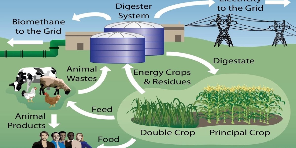 Revolutionizing Waste Management: The Expanding Role of Anaerobic Digestion Systems